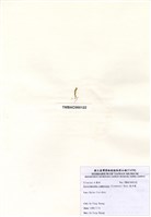 藏品(扁石髮)的圖片